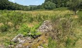 Excursión  Saint-Merd-les-Oussines - F 2024?Longeyroux Lac Oussines - Photo 3