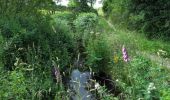 Tocht Te voet West Cork - Glanbannoo Walk - Photo 1