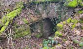 Randonnée Marche Mandrevillars - Echenans et son fort - Photo 17