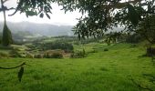 Trail Walking Furnas - pico et lac furnas - Photo 1