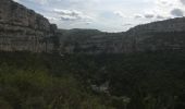 Trail Walking Minerve - Minerve - Gorges du Briant par le GR77 - Photo 13