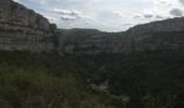 Randonnée Marche Minerve - Minerve - Gorges du Briant par le GR77 - Photo 13