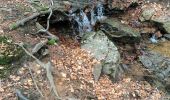 Trail Walking Spa - verbose soa - Photo 1