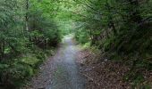 Trail On foot Simmerath - Dorfrundgang Erkensruhr - Photo 4