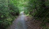 Tour Zu Fuß Simmerath - Dorfrundgang Erkensruhr - Photo 4