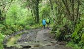 Trail Walking Monterroso - Arrêté Melide - Photo 9