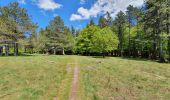 Tocht Stappen Mons - gorges d'Heric - Photo 2