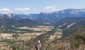Excursión Senderismo Marignac-en-Diois - la montagne de Desses - Photo 7