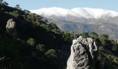 Tour Wandern Lentegí - les arbres petrifies - Photo 1