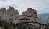 Randonnée Marche Marseille - 13  Calanques Marseilleveyre par le Pas de la Demi lune - Photo 6