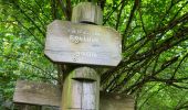 Randonnée Marche Aulus-les-Bains - Cascade de Fouillet Ariége - Photo 15