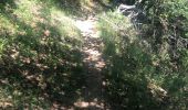 Trail Walking Amélie-les-Bains-Palalda - Montalba roc St Sauveur  - Photo 11