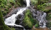 Excursión Senderismo Gimel-les-Cascades - Gimel - Photo 3