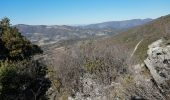 Tour Wandern Roche-Saint-Secret-Béconne - le rocher des Aures  - Photo 11