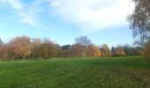 Trail Walking Liège - les 4 terrils - Photo 2