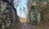 Trail Walking Lutzelbourg - Sentier des Roches et vallée des éclusiers - Photo 14