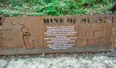 Tour Mountainbike Wirten - Chemin transfrontalier des mines de fer  -  Balade_VTT_51kms - Photo 13