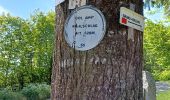 Trail Walking Goldbach-Altenbach - goldbach - Photo 4