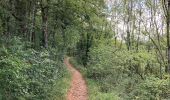 Excursión Senderismo Porte des Pierres Dorées - Jarnioux / 15 km - Photo 1