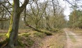 Trail On foot Arnhem - Deelerwoud - Rood - Photo 4