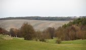 Tocht Te voet Bad Mergentheim - Schönbühler Weg - Photo 1