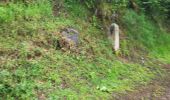 Trail Walking Vielsalm - Vielsalm 270625 - Photo 16