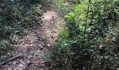 Trail Walking Mougins - Standard 2 - Photo 3