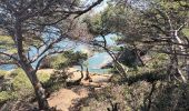 Tour Wandern Hyères - Presqu'île Giens Ouest-26-05-23 - Photo 5