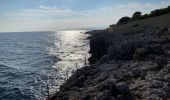 Tocht Stappen Antibes - Littoral du cap d’Antibes  - Photo 18