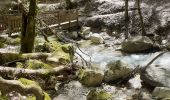 Trail Walking Saint-Vincent-de-Mercuze - Cascade de l'Alloix Montalieu (38) - Photo 1