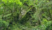 Trail Walking Oberhaslach - Circuit des 2 cascades - Photo 17