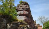 Percorso Marcia Saverne - Saverne et ses châteaux  - Photo 15