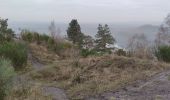 Trail Walking Maasmechelen - La balade des Terhills  - Photo 13