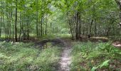 Tocht Stappen Orrouy - en Forêt de Compiègne_41_autour des Petits Monts - Photo 20