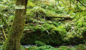 Excursión Senderismo Tendon - Cascades de Tendon - Trou de l'Enfer - Roches de la Moulure - Photo 20