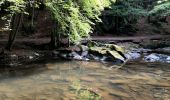 Randonnée Marche Libin - Promenade de la Lesse (8,6km)   - Photo 7