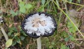 Tocht Stappen Goudet - Randonnée en boucle au dessus de Boudet - Photo 11