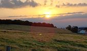 Trail Walking Le Valtin - La Schlucht - Le Hohneck - Photo 19