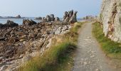 Tour Wandern Plougrescant - Le gouffre, la pointe du château à Plougrescant - Photo 9