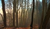 Tour Zu Fuß Horgen - Waldmatt - Langnau Gattikon - Photo 2