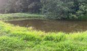 Trail Running Sainte-Anne - Liard saint Robert - Photo 8