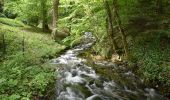 Tour Wandern Divonne-les-Bains - Randonnée - Photo 12