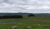 Tour Wandern Marchastel - cap combattut  - Photo 3