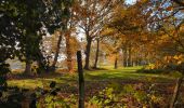 Tour Wandern Saint-Erblon - St Erblon TA 01-12-22 - Photo 1