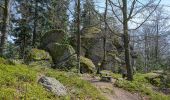 Percorso A piedi Rechberg - Der Naturparkweg - Photo 4