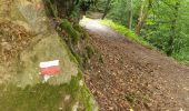 Excursión Senderismo Profondeville - Rando tranquille avec Soan ( 8 ans )  - Photo 4