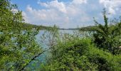 Randonnée V.T.C. Peigney - Tour du lac de la Liez et passage par le lac de Charmes - Photo 6