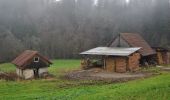 Excursión A pie Deißlingen - SAV rotes Plus Maienbühl-Oberrotenstein - Photo 4