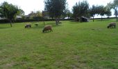 Tocht Stappen Montmain - 20220915-Montmain  - Photo 17