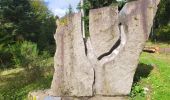 Trail Walking Urmatt - Lutzelhouse - sentier des géants - Photo 12